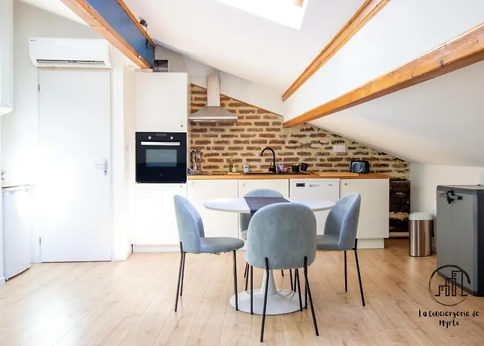 Azur Et Brique Lägenhet Albi