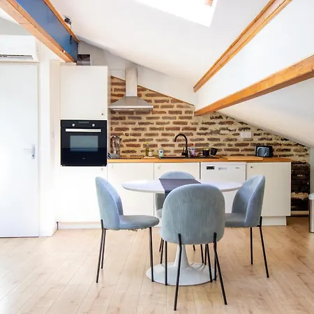 Azur Et Brique Appartement Albi
